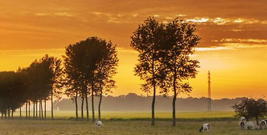 You are additionally not supposed to donate blood during the treatment, featuring during one month from the minute you quit taking Accutane.